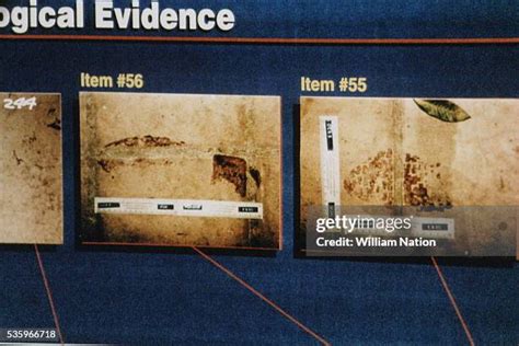 Why Were Oj Simpson Crime Scene Photos Released? Insights Your Land